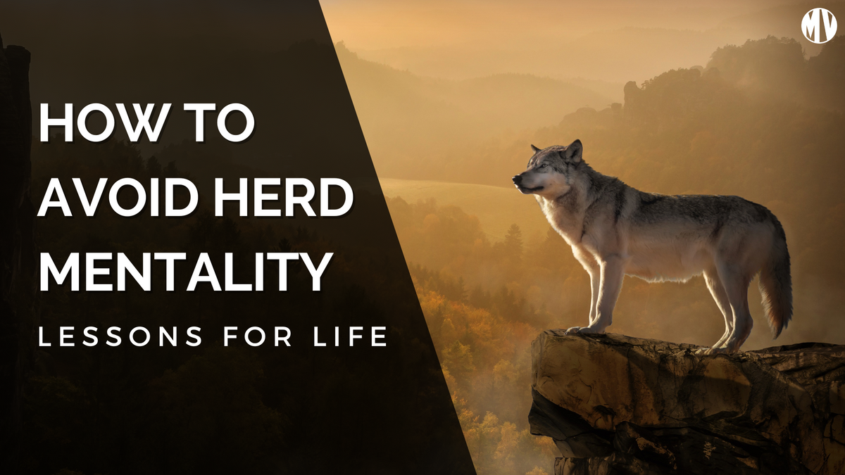 Lessons For Life How To Avoid Herd Mentality Mindsetverse