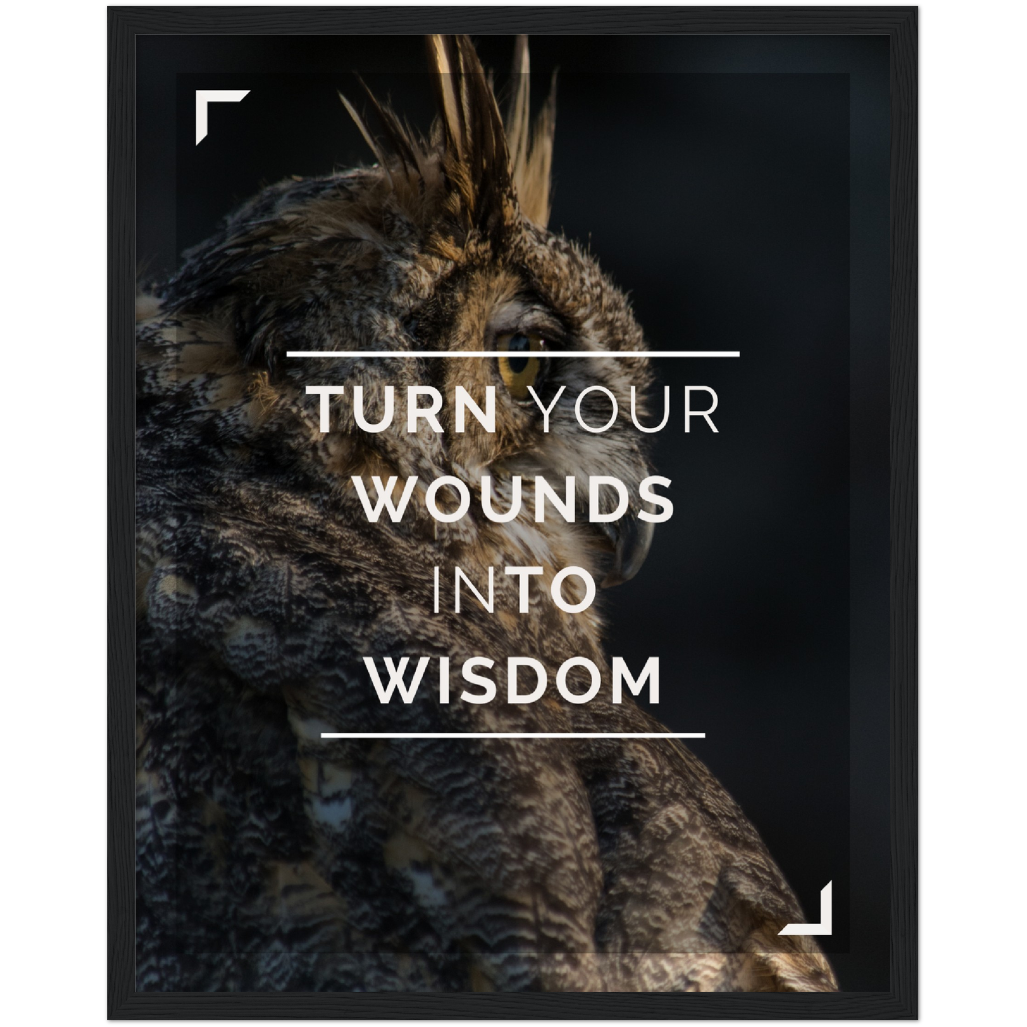 Wounds Into Wisdom Framed Poster