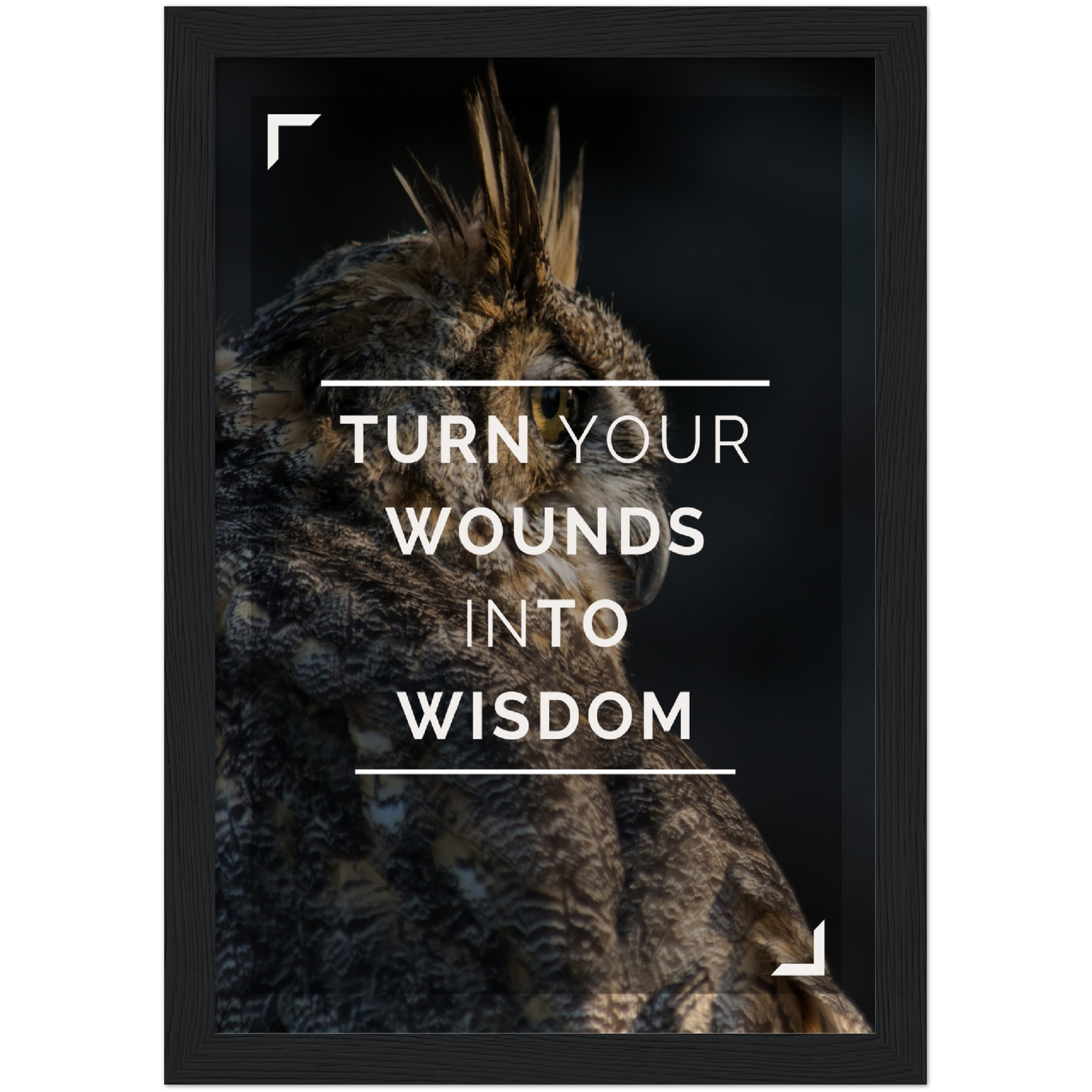 Wounds Into Wisdom Framed Poster