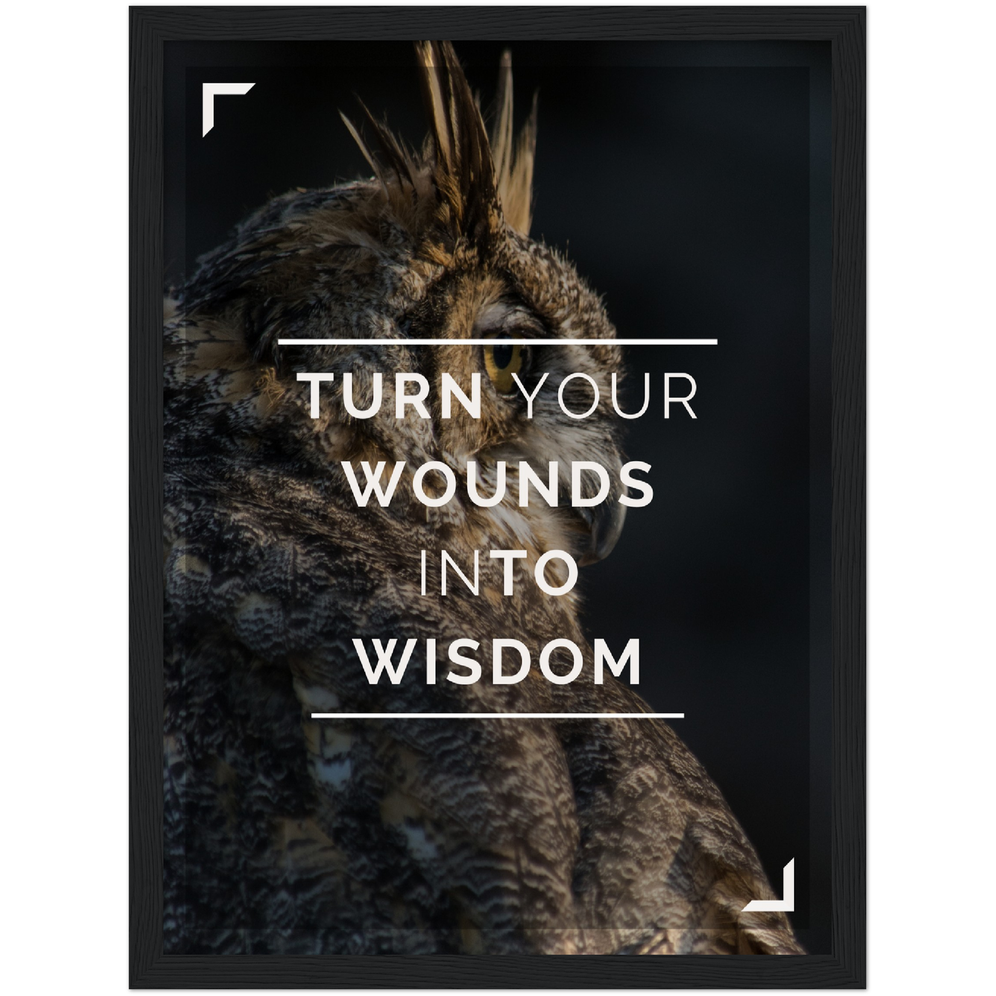 Wounds Into Wisdom Framed Poster